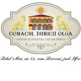 Conacul Bunicii Olga - Centru rezidential pentru bunici